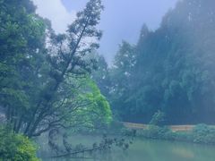 -玉苍山国家森林公园