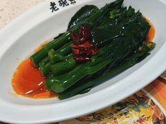-老碗会·陕西手工面(前海世茂店)