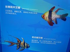 -广州海洋馆