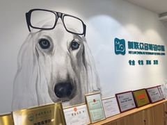 -美联众合动物医院·24h转诊中心