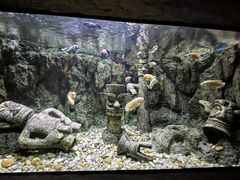 -北海海底世界