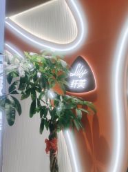 -Lily纤美·科技减脂中心