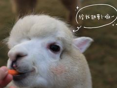 -Blue Concept Cafe&Farm·關於藍
