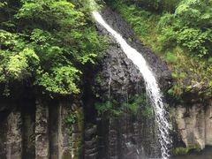 -望天鹅景区