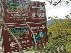-塔川景区