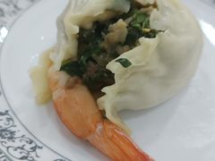 -小叶大馅饺子城