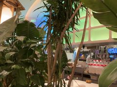 -桂满陇·蟹黄小笼汤包(清河万象店)
