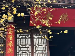-灵谷景区