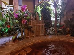 -泉城欧乐堡戏水湾艺术养生温泉