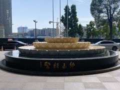 -佛山复星禅诚医院