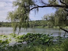 -承德避暑山庄景区