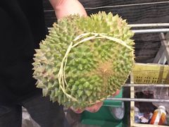 -都念榴莲·城市榴莲