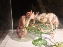 -艺仓美术馆