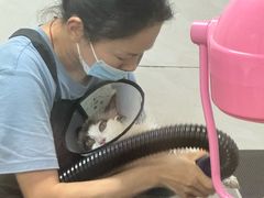 -乐琪宠物医院·犬猫专科·骨外科·急重症
