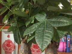 -静沐人生养生馆(佳宁娜分店)