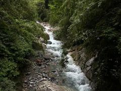 -西岭雪山大飞水景区