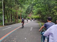 -红花湖景区