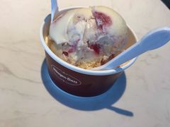-哈根达斯(西安北郊店)