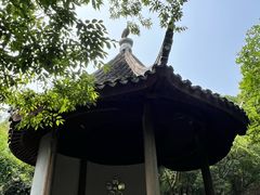 -香雪海