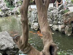 -豫园
