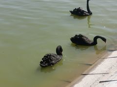 -长春世界雕塑园冰雪艺术天地