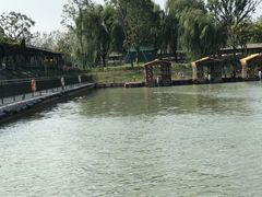 -泗洪洪泽湖湿地景区