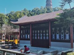 -顺峰山公园