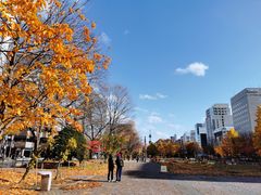 -札幌电视塔