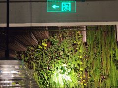 门面-外婆家(杭州马塍店·杭帮菜名店)
