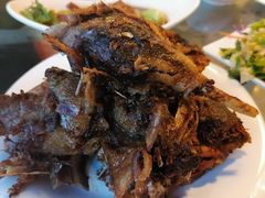 -大鹅岛绿色生态美食园