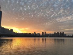 -天鹅湖体育公园