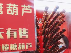 -和禄德冰糖葫芦