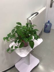 -联合丽格·张菡丽格医疗美容
