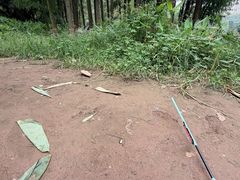 -重庆彩云湖湿地公园