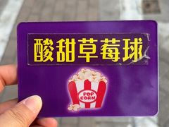 -源宗盛粽子汤圆