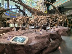 -安徽省地质博物馆