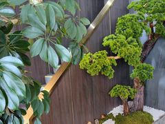 -野菌皇海景野生菌火锅(滨海大道店)