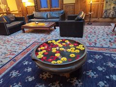 -松赞拉萨林卡酒店