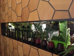 -大头椰·椰子鸡火锅(南宁万象城店)