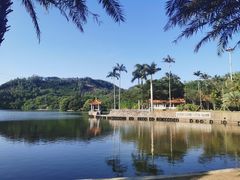 -深圳仙湖植物园