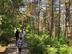 -帽儿山国家森林公园