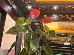 -五岳宫·私房菜