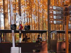 -黄海国家森林公园