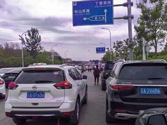 -丁香湖公园