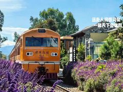 -香满楼(临安路店)