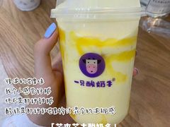 -一只酸奶牛(八一路店)