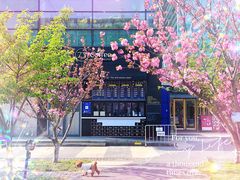 门面-73coffee(创智天地店)