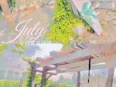 -安德鲁户外烧烤帐篷营地(马泉营店)