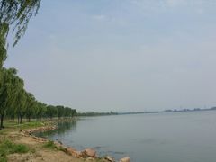 -漕湖湿地公园