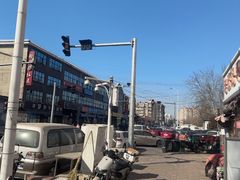 -中环花鸟鱼虫市场